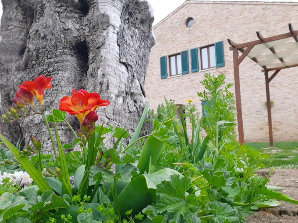 Aparthotel Casale Del Conero Porto Recanati Exteriér fotografie